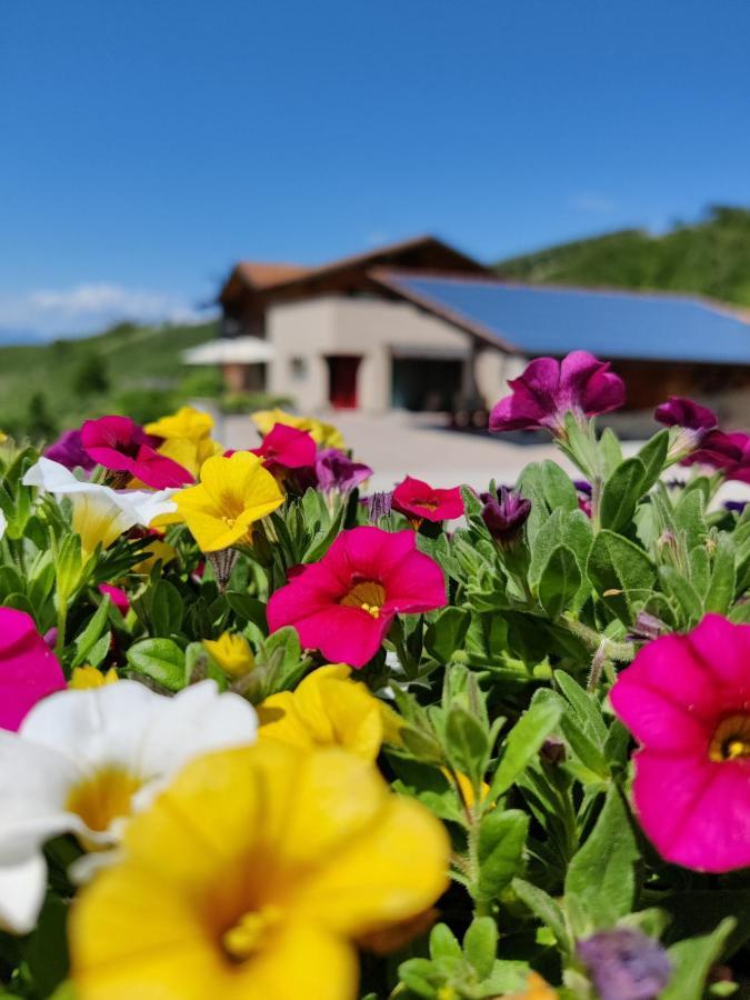 Villa Bio Agritur Al Bait Spormaggiore Exterior foto