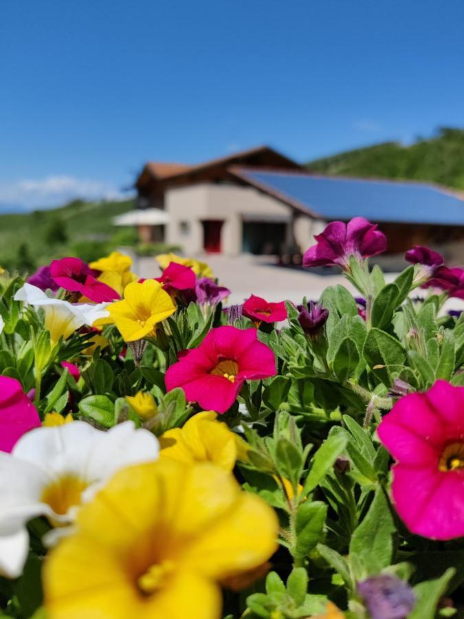 Bio Agritur Al Bait Villa Spormaggiore Exterior foto